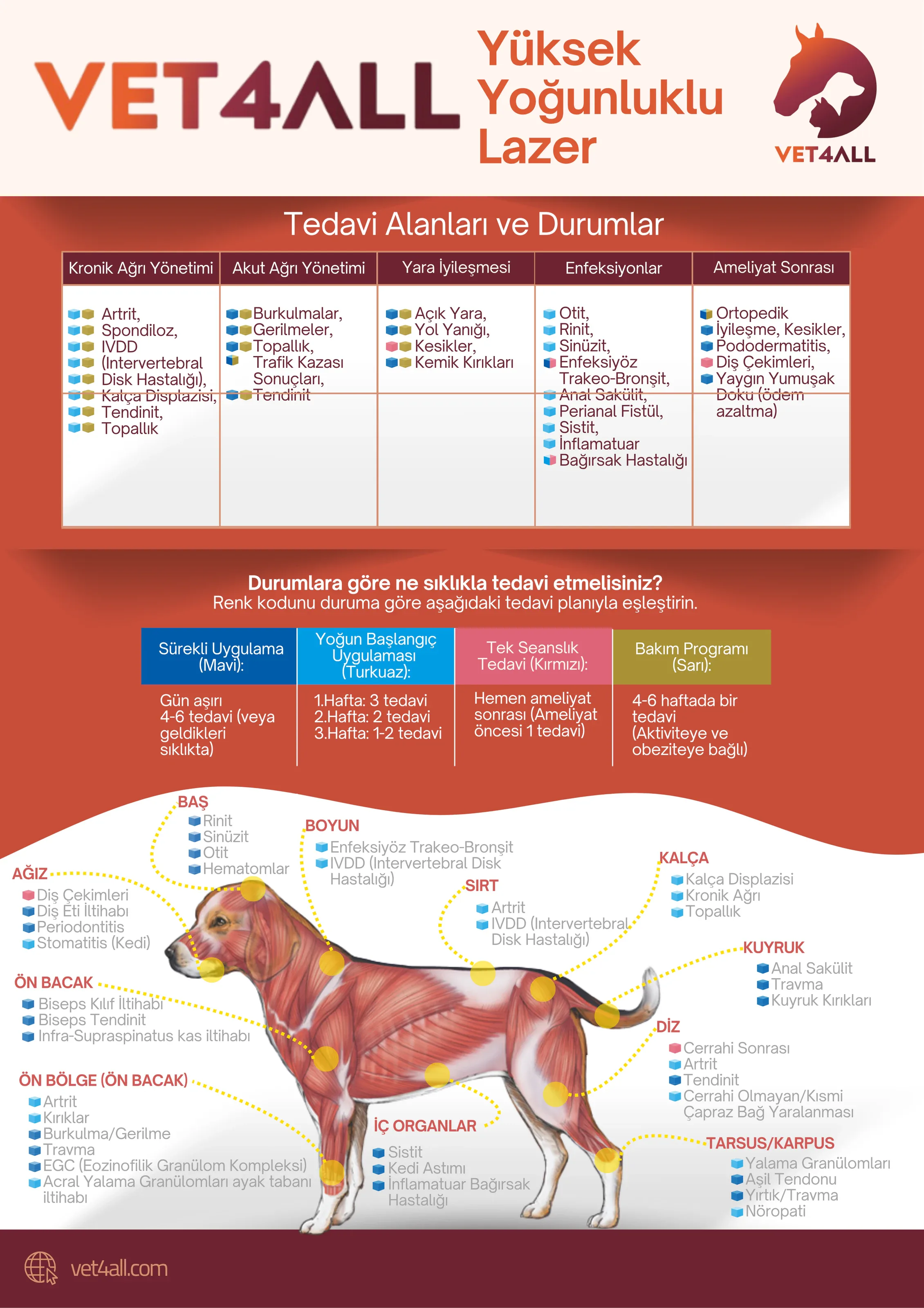 Kırmızı başlıklı broşür; tedavi alanları tablosu ve köpek anatomisi üzerinde işaretli bölgeler